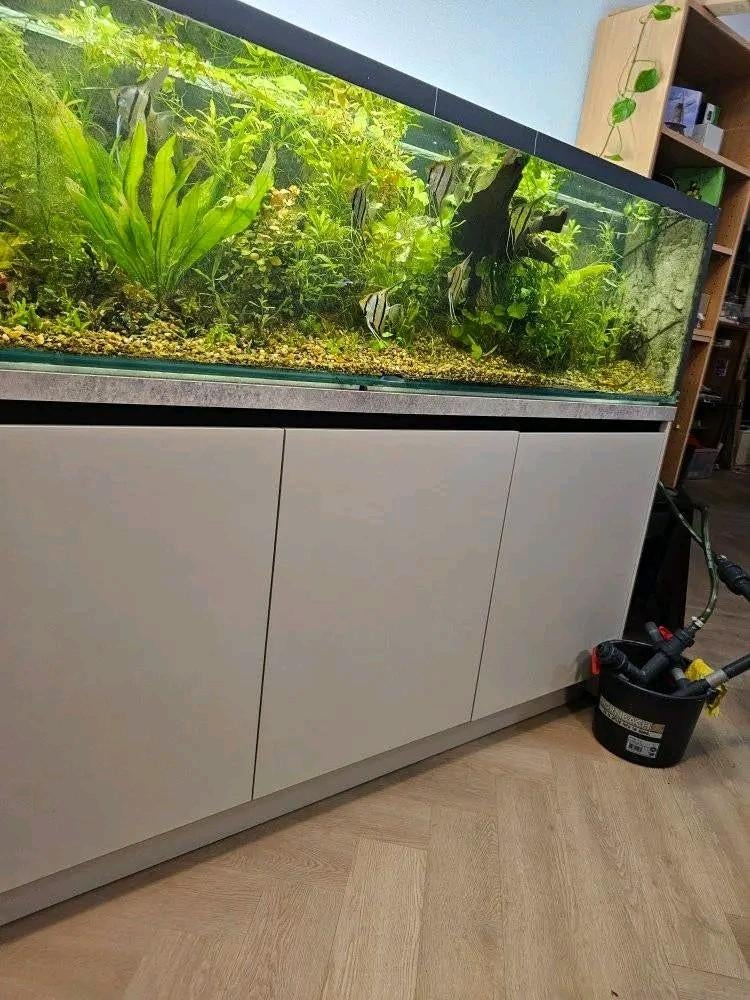 Aquarium 2 meter, Dieren en Toebehoren, Vissen | Aquaria en Toebehoren, Ophalen, Gebruikt, Leeg aquarium