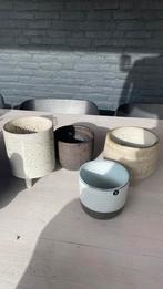 Bloempotjes voor binnen gratis ophalen, Tuin en Terras, Bloempotten, Ophalen, Rond, Binnen, Zo goed als nieuw