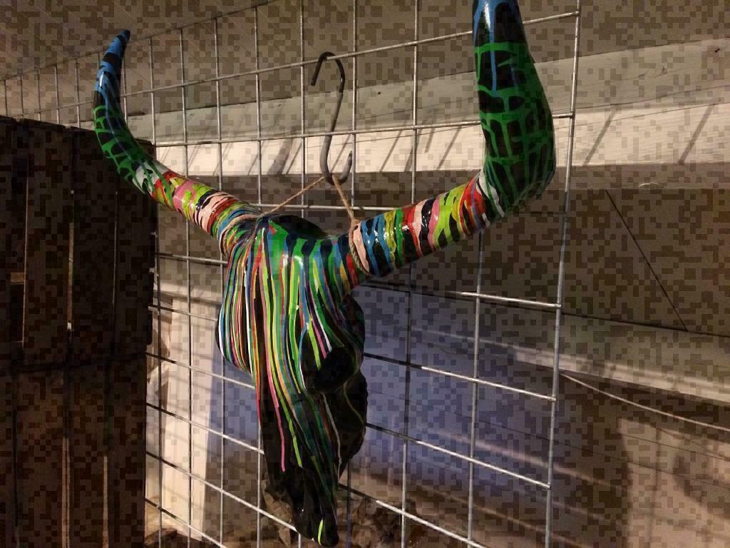 Buffelschedel , Skull gekleurd , grote aantallen op, Ophalen of Verzenden