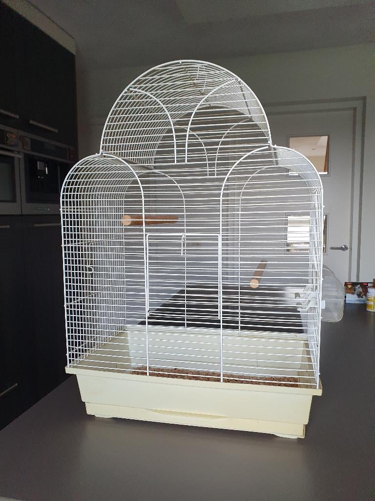 Witte vogelkooi in prima staat op houten standaard, Dieren en Toebehoren, Vogels | Hokken en Kooien, Ophalen, Gebruikt, Metaal