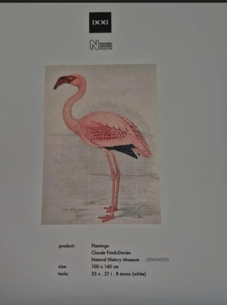 Ixxi flamingo, Ophalen, Zo goed als nieuw, Schilderij, 100 tot 125 cm