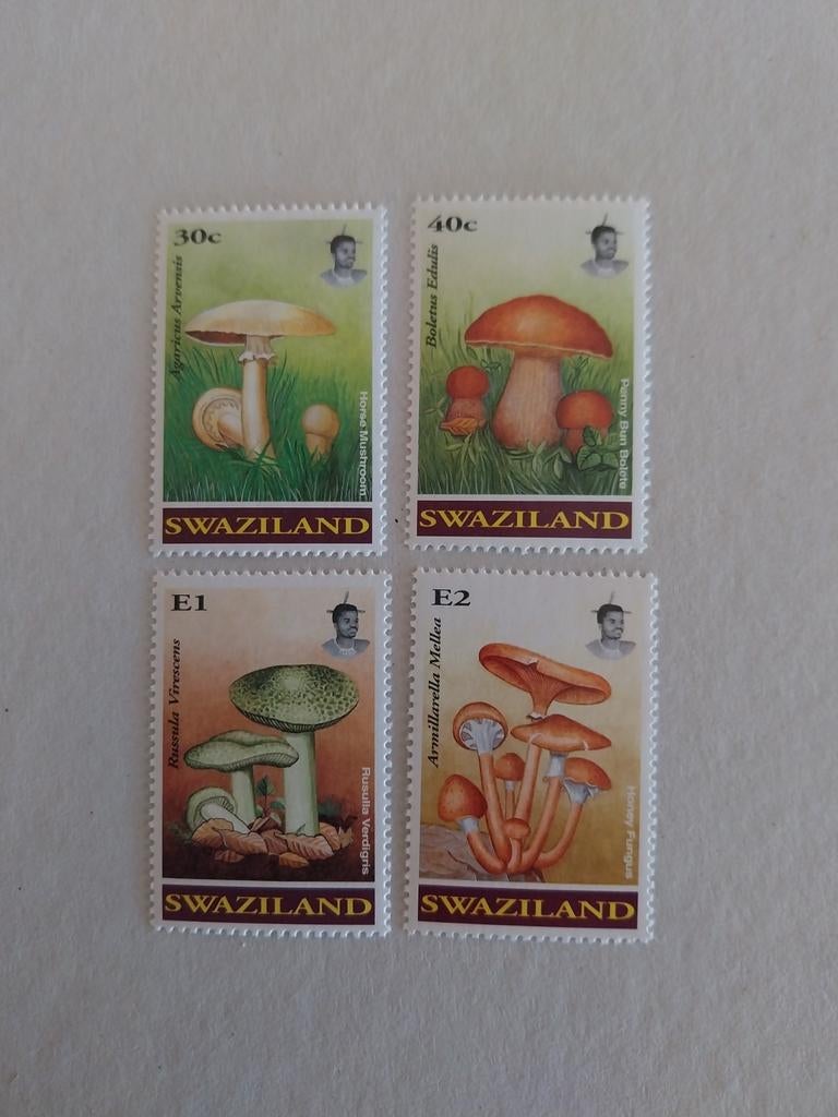 Swaziland636-639 paddestoelen 1994 postfris mi 7.50 eu, Ophalen of Verzenden, Dier of Natuur