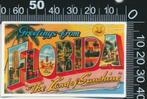 Sticker: Greetings from Florida, Ophalen of Verzenden, Zo goed als nieuw, Bedrijf of Vereniging