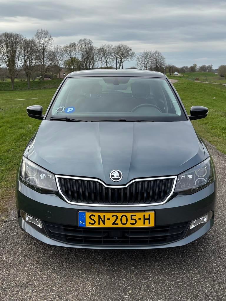 Skoda Fabia 1.0 TSI - Apple Carplay - APK 12/2026, Auto's, Skoda, Voorwielaandrijving, 40 €/maand, 95 pk, 23 km/l