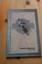 Harley Davidson modellen 2002, Ophalen of Verzenden, Harley-Davidson of Buell