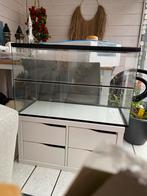 ikea kallax kast 2 vaks met lades, Dieren en Toebehoren, Ophalen, Zo goed als nieuw, Leeg aquarium