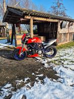 Buell X1 Motor 2001, Motoren, Motoren | Buell, Particulier