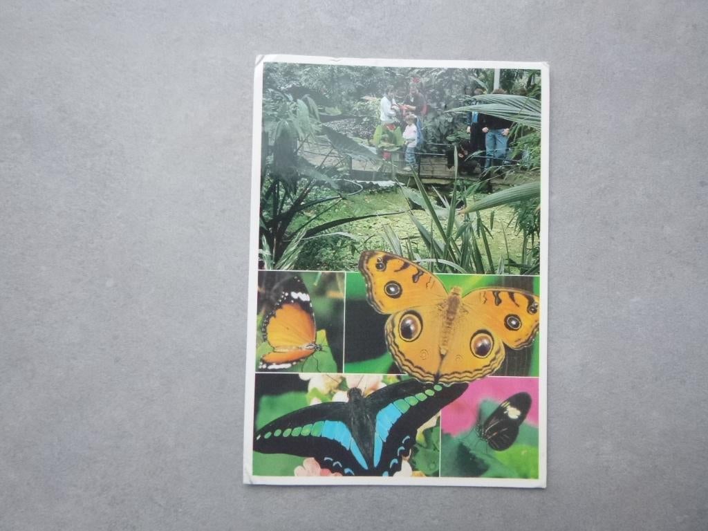 Emmen, Noorder Dierenpark Tropische vlindertuin, Verzenden, 1980 tot heden, Gelopen, Drenthe