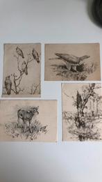 Floris TIELE. Reebok, mouflon lam, pestvogels,wespendief, Ophalen of Verzenden, 1940 tot 1960, Gelopen