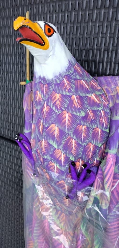 Vlieger adelaar/ arend paars, Sport en Fitness, Vliegeren, Gebruikt, Vlieger, Tweelijns, Ophalen of Verzenden