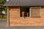 Stalraam met draai/kiep functie | Raam | Stalluik | 20, Weidegang, 4 paarden of pony's of meer