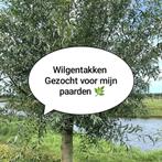 Wilgentakken gezocht voor mijn paarden, Tuin en Terras, Ophalen of Verzenden, Zomer, Volle zon, Overige soorten
