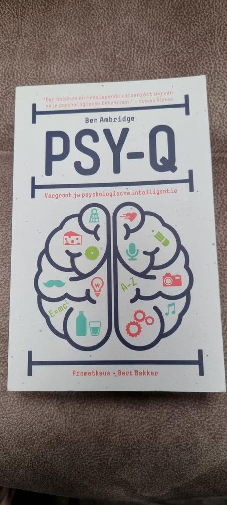 Ben Ambridge - Psy-Q, Boeken, Psychologie, Zo goed als nieuw, Ophalen