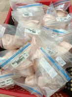 Bloch s0131s serenade strong spitzen ballet dansschoenen, Sport en Fitness, Ballet, Ophalen of Verzenden, Nieuw