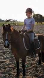 Ruiter gezocht, Dieren en Toebehoren, Paarden en Pony's | Verzorgingsproducten, Ophalen of Verzenden, Zo goed als nieuw