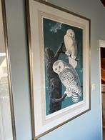 Prenten J.J. Audubon Snowy Owl en Great Horned Owl, Antiek en Kunst, Ophalen