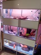 2x aquarium stelling te koop, Dieren en Toebehoren, Vissen | Aquaria en Toebehoren, Ophalen, Gebruikt, Leeg aquarium