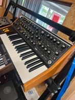 Moog Subsequent 37 synth, Muziek en Instrumenten, Ophalen, Overige aantallen, Overige merken