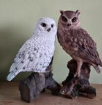 Uilen beelden, Verzamelen, Dierenverzamelingen, Ophalen of Verzenden, Zo goed als nieuw, Vogel, Beeldje of Figuurtje