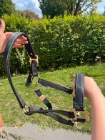 Paard halster, Dieren en Toebehoren, Ophalen of Verzenden, Gebruikt, Overige soorten