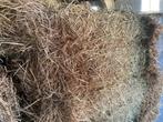 hooi, Dieren en Toebehoren, Ophalen, Zo goed als nieuw