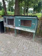 Konijnenhokken, Ophalen of Verzenden, 90 cm of meer, Hok, 110 cm of meer