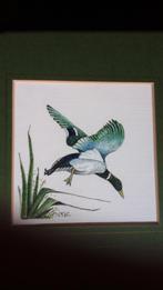 mooie aquarel van een vliegende eend, Ophalen of Verzenden