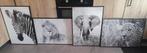 4x schilderij: zebra, leeuw, olifant, tijger, Huis en Inrichting, Woonaccessoires | Schilderijen, Tekeningen en Foto's, Ophalen