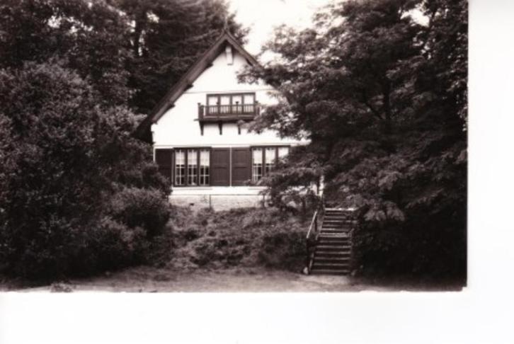 ELSPEET,- Kinderfonds P.T.T. 't Hoge Hout.Junipera.06-11, Verzamelen, Ansichtkaarten | Nederland, Gelopen, Gelderland, 1940 tot 1960