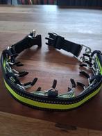 Honden pennenhalsband met kunstof uiteinden, Ophalen of Verzenden, Nieuw