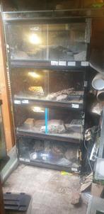Terrarium kast 1,60 hoog en 80,5 cm lang en 41 cm breed, Ophalen, Zo goed als nieuw