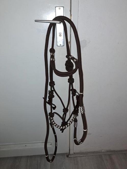 Trekkinghalster 3 in 1, maat COB., Dieren en Toebehoren, Paarden en Pony's | Hoofdstellen en Tuigage, Nieuw, Ophalen