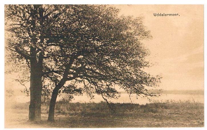 Uddel. Uddelermeer, Verzamelen, Ansichtkaarten | Nederland, Gelopen, Gelderland, 1920 tot 1940, Ophalen of Verzenden