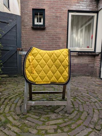 Geel dekje BR (Cob) beschikbaar voor biedingen