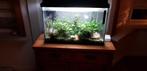 aquarium 45x60x30, Dieren en Toebehoren, Ophalen, Gebruikt, Overige typen