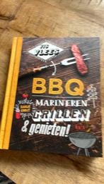 Dorien Holla - BBQ, Ophalen of Verzenden, Zo goed als nieuw, Dorien Holla; Floor van Dinteren; Floorabella; Van de Kook