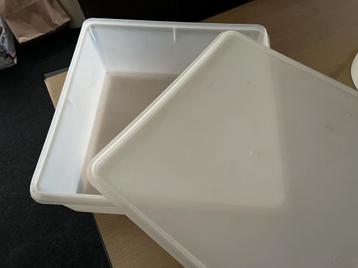 Tupperware Bewaarbak Groot - 30x30cm beschikbaar voor biedingen
