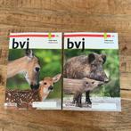 BVJ  1A & 1B VMBO-T/HAVO, Ophalen of Verzenden, Zo goed als nieuw, Overige niveaus, Nederlands