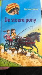 Gertrud Jetten - De stoere pony, Fictie algemeen, Ophalen of Verzenden, Zo goed als nieuw, Gertrud Jetten
