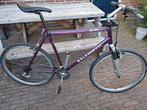 Raleigh M-80 mountainbike, Gebruikt, Ophalen, Overige merken, Vering
