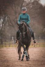 zadelmak maken, sportpredikaat, ibop, keuringen, instructie, Dieren en Toebehoren, Stalling en Weidegang