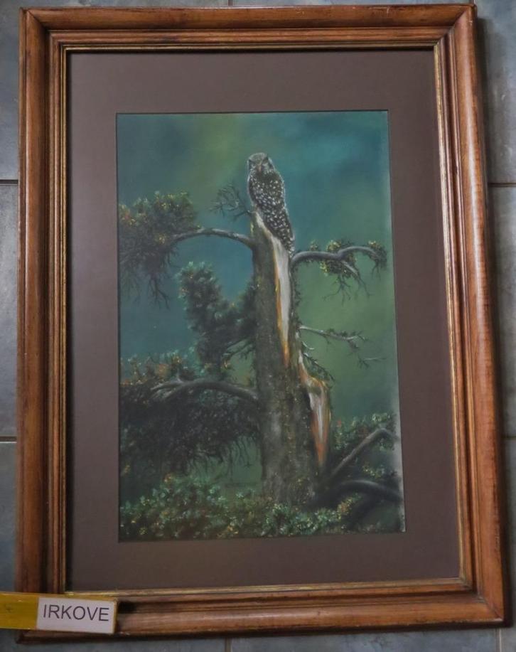 SPERWERUIL IN BOOM * Gemengde Techniek *, Antiek en Kunst, Kunst | Schilderijen | Klassiek, Ophalen of Verzenden