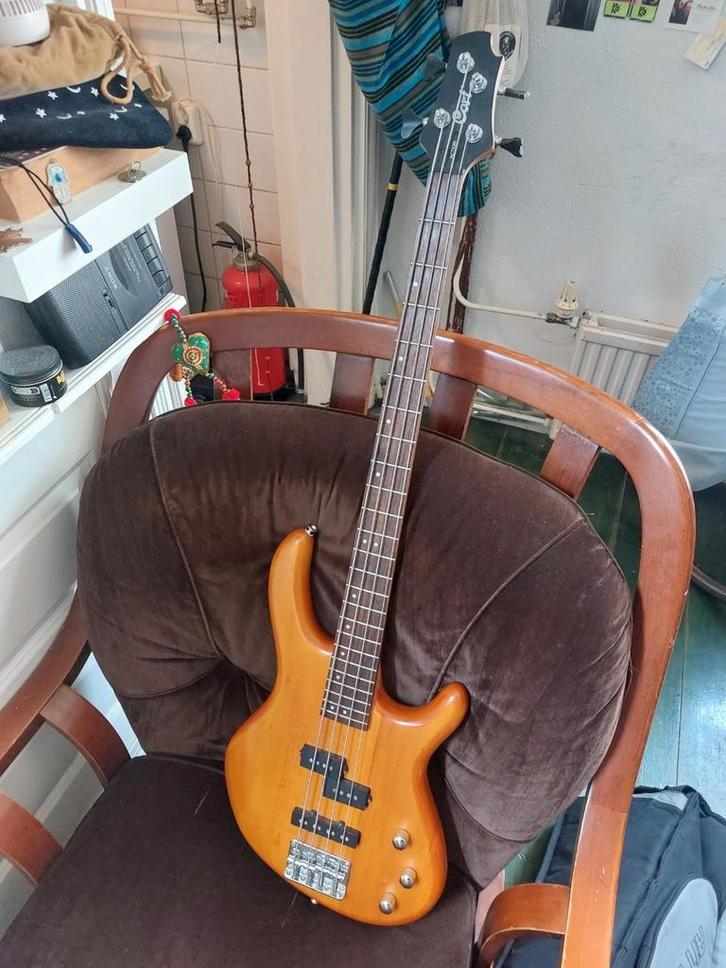 Cort basgitaar incl. Tas en snoer (en versterker), Muziek en Instrumenten, Snaarinstrumenten | Gitaren | Bas, Zo goed als nieuw