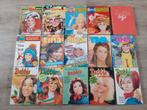 Tina Groot vakantieboek ,winteboeken ,zomerboek  ,herfsboek, Boeken, Meerdere stripboeken, Ophalen of Verzenden, Gelezen