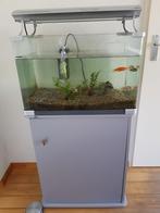 Aquarium met meubel en filter, Ophalen, Gebruikt, Leeg aquarium