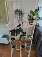 IKEA planten scherm / standaard socker. Inclusief bakjes, Ophalen, Zo goed als nieuw