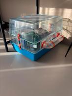 Hamsterkooi, Kooi, Gebruikt, Ophalen, Minder dan 60 cm