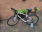Specialized dames racefiets, Hardtail, Zo goed als nieuw, 53 tot 57 cm, Ophalen