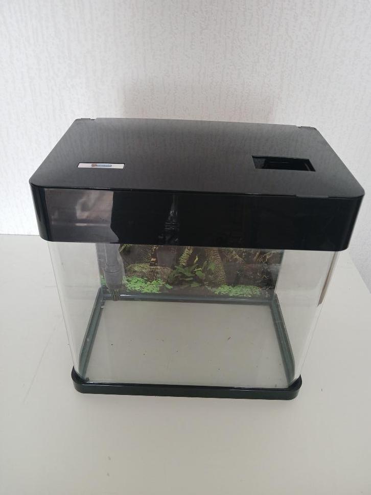 Superfish Panorama 20 led . (17 liter) Zwart, Dieren en Toebehoren, Vissen | Aquaria en Toebehoren, Gebruikt, Leeg aquarium, Ophalen