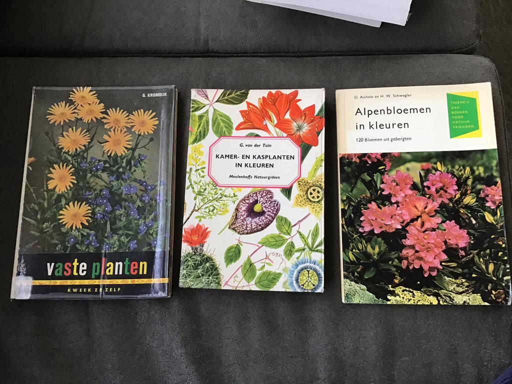 Alpenbloemen in kleuren - Aichele/Schwegner, Boeken, Ophalen of Verzenden, Zo goed als nieuw
